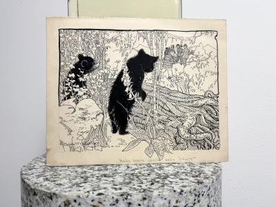 Colista Mrs E H Dowling Baby Bears Original Illustration Female Illustrator