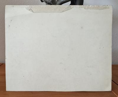 Colista Mrs E H Dowling Baby Bears Original Illustration Female Illustrator