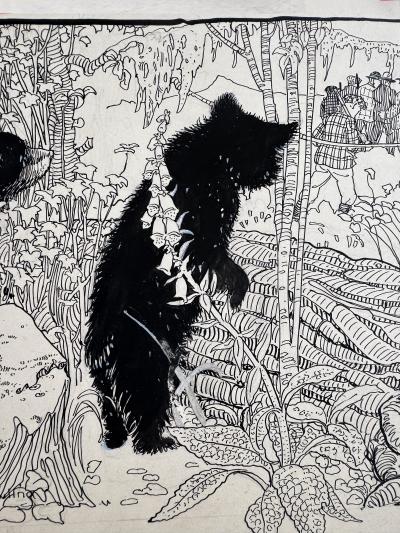 Colista Mrs E H Dowling Baby Bears Original Illustration Female Illustrator