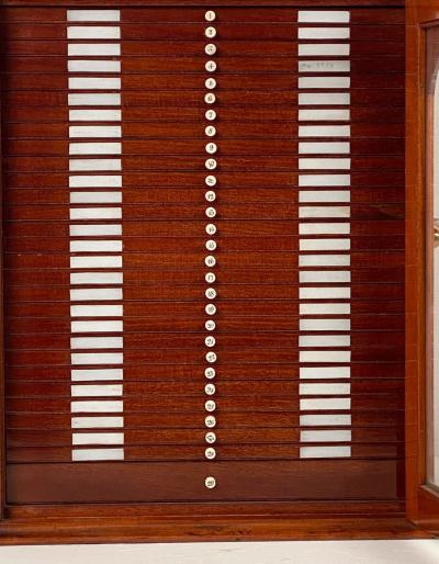 Collectors Cabinet England circa 1880