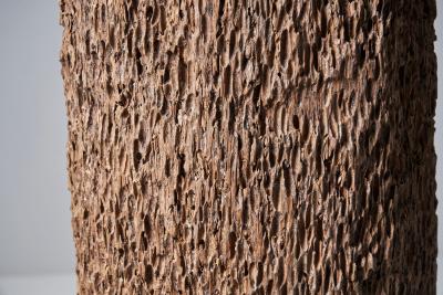 Colossal Tree Trunk Sculpture Africa 20th century