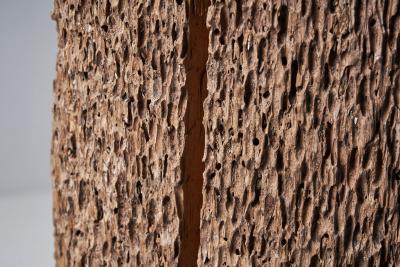 Colossal Tree Trunk Sculpture Africa 20th century