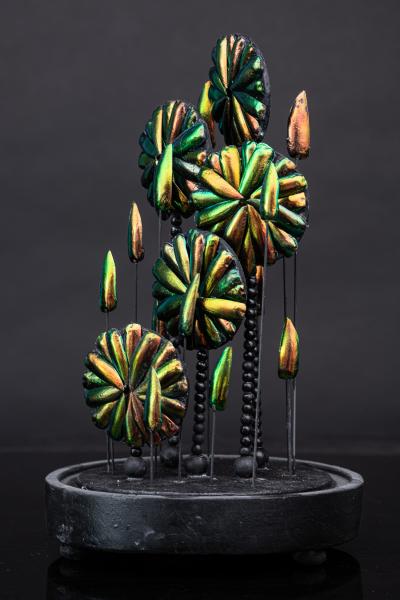 Composition of Feathers and Butterflies under an Oval dome 