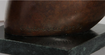 Constantin Antonovici Rabbit