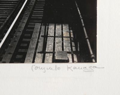 Consuelo Kanaga Train Tracks