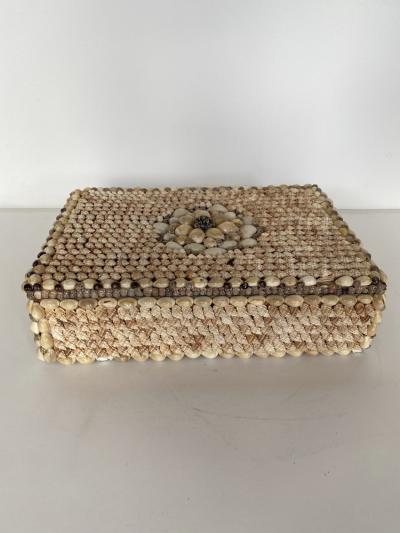 Contemporary American Modern Conch and Cowrie Seashell Jewelry Box