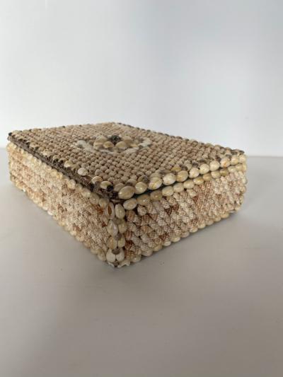 Contemporary American Modern Conch and Cowrie Seashell Jewelry Box