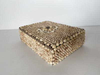 Contemporary American Modern Conch and Cowrie Seashell Jewelry Box
