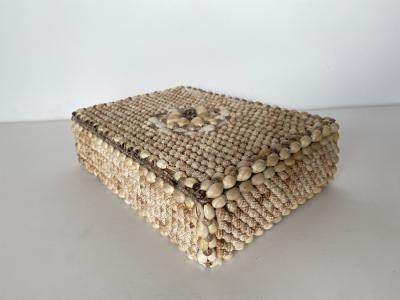 Contemporary American Modern Conch and Cowrie Seashell Jewelry Box