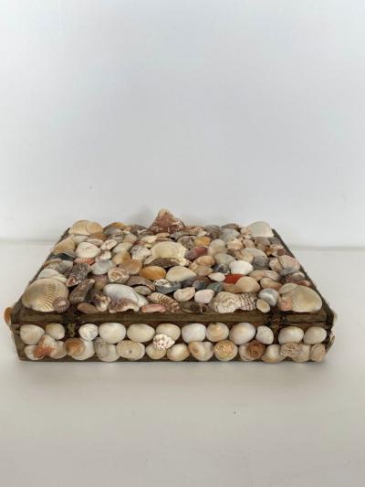 Contemporary American Modern Large Seashell Box