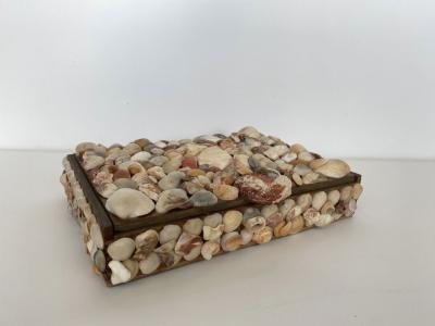Contemporary American Modern Large Seashell Box