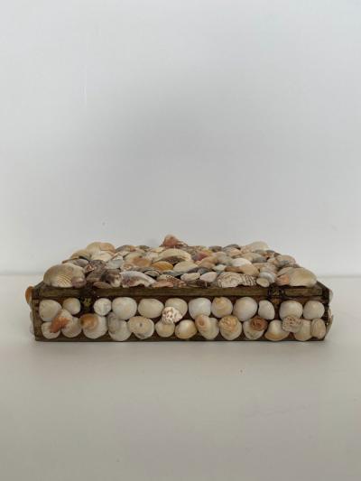 Contemporary American Modern Large Seashell Box