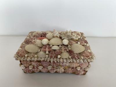 Contemporary American Modern Seashell Music Box Jewelry Box