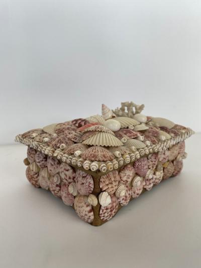 Contemporary American Modern Seashell Music Box Jewelry Box