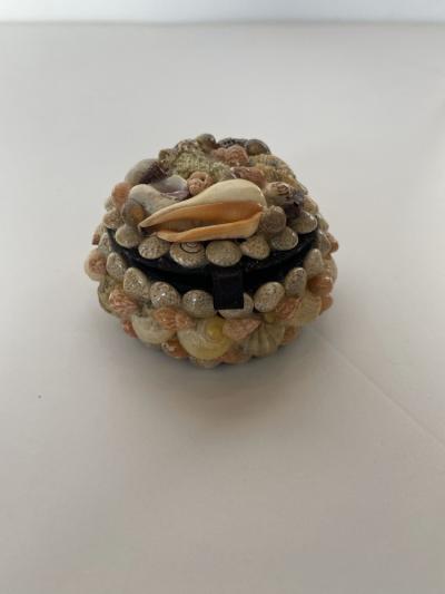 Contemporary American Modern Small Circular Seashell Jewelry Box