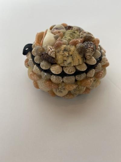 Contemporary American Modern Small Circular Seashell Jewelry Box