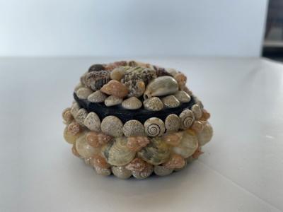 Contemporary American Modern Small Circular Seashell Jewelry Box