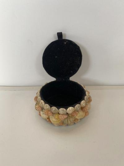 Contemporary American Modern Small Circular Seashell Jewelry Box