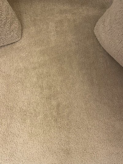 Contemporary Bean Shaped Sofa Beige Upholstery Italy