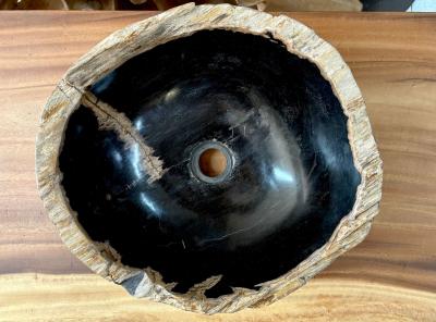 Contemporary Black Beige Petrified Wooden Sink Polished IDN 2025