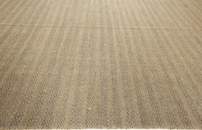 Contemporary Flat Weave Natural Fiber Rug