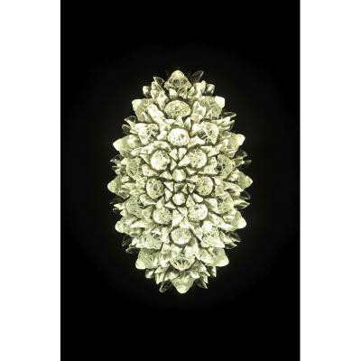 Contemporary Italian Crystal Clear Glass Oval Silver Flush Mount Sconce