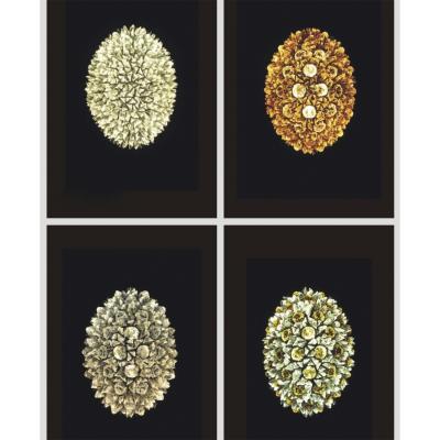 Contemporary Italian Crystal Clear Glass Oval Silver Flush Mount Sconce