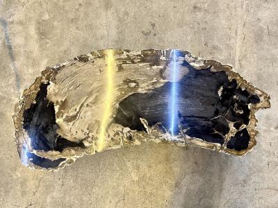Contemporary Petrified Wood Coffee Table With Stainless Steel Feet 2023