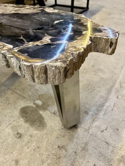 Contemporary Petrified Wood Coffee Table With Stainless Steel Feet 2023