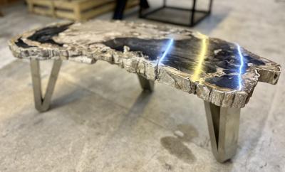 Contemporary Petrified Wood Coffee Table With Stainless Steel Feet 2023