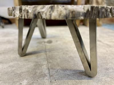 Contemporary Petrified Wood Coffee Table With Stainless Steel Feet 2023