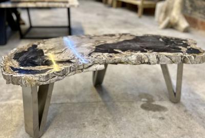 Contemporary Petrified Wood Coffee Table With Stainless Steel Feet 2023