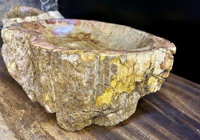 Contemporary Petrified Wood Sink in Beige Brown Yellow and Pink Tones 2024