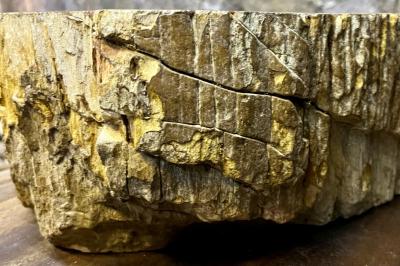 Contemporary Petrified Wood Sink in Beige Brown Yellow and Pink Tones 2024