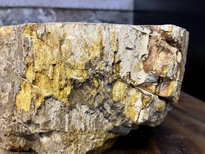 Contemporary Petrified Wood Sink in Beige Brown Yellow and Pink Tones 2024