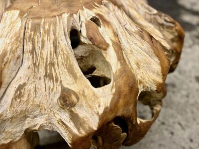 Contemporary Teak Root Coffee Table Couch Table Modern Organic IDN 2023