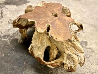 Contemporary Teak Root Coffee Table Couch Table Modern Organic IDN 2023