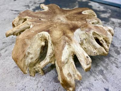 Contemporary Wooden Teak Root Coffee Table Organic Modern IDN 2024