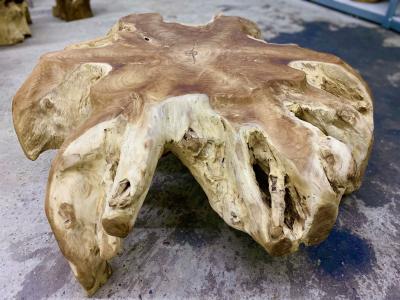 Contemporary Wooden Teak Root Coffee Table Organic Modern IDN 2024
