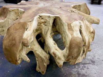 Contemporary Wooden Teak Root Coffee Table Organic Modern IDN 2024