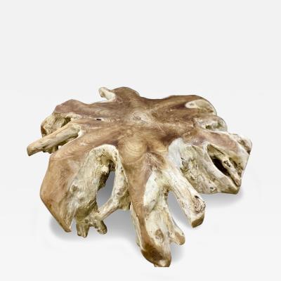 Contemporary Wooden Teak Root Coffee Table Organic Modern IDN 2024