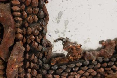 Continental Burl Root Mirror