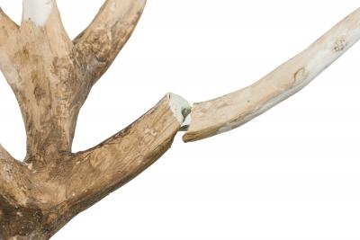 Continental Rustic Wall Plaque Featuring an Elk Skull with a Painted Insignia