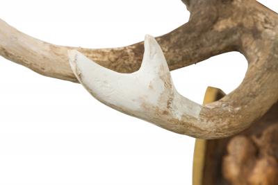 Continental Rustic Wall Plaque Featuring an Elk Skull with a Painted Insignia