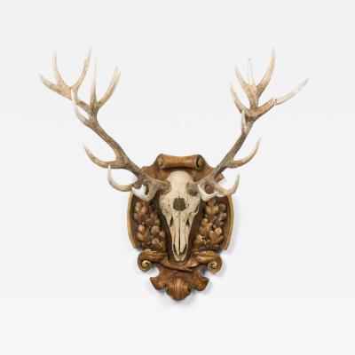 Continental Rustic Wall Plaque Featuring an Elk Skull with a Painted Insignia