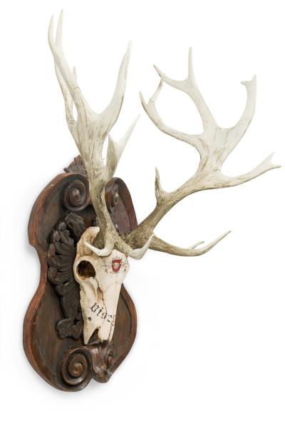 Continental Rustic wall plaque of a Elk skull with Red insignia
