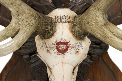Continental Rustic wall plaque of a Elk skull with Red insignia