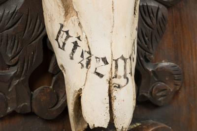 Continental Rustic wall plaque of a Elk skull with Red insignia