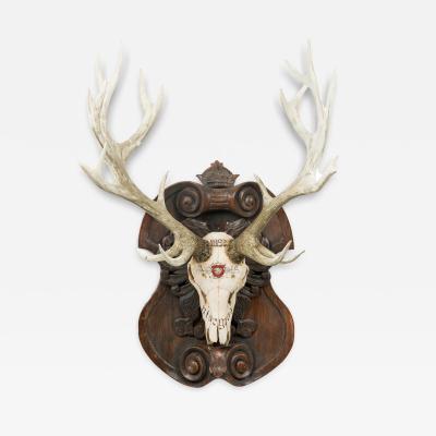 Continental Rustic wall plaque of a Elk skull with Red insignia