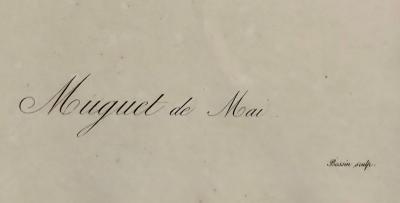 Convallaria Majalis Print Hand Colored Engraving Signed P J Redoute